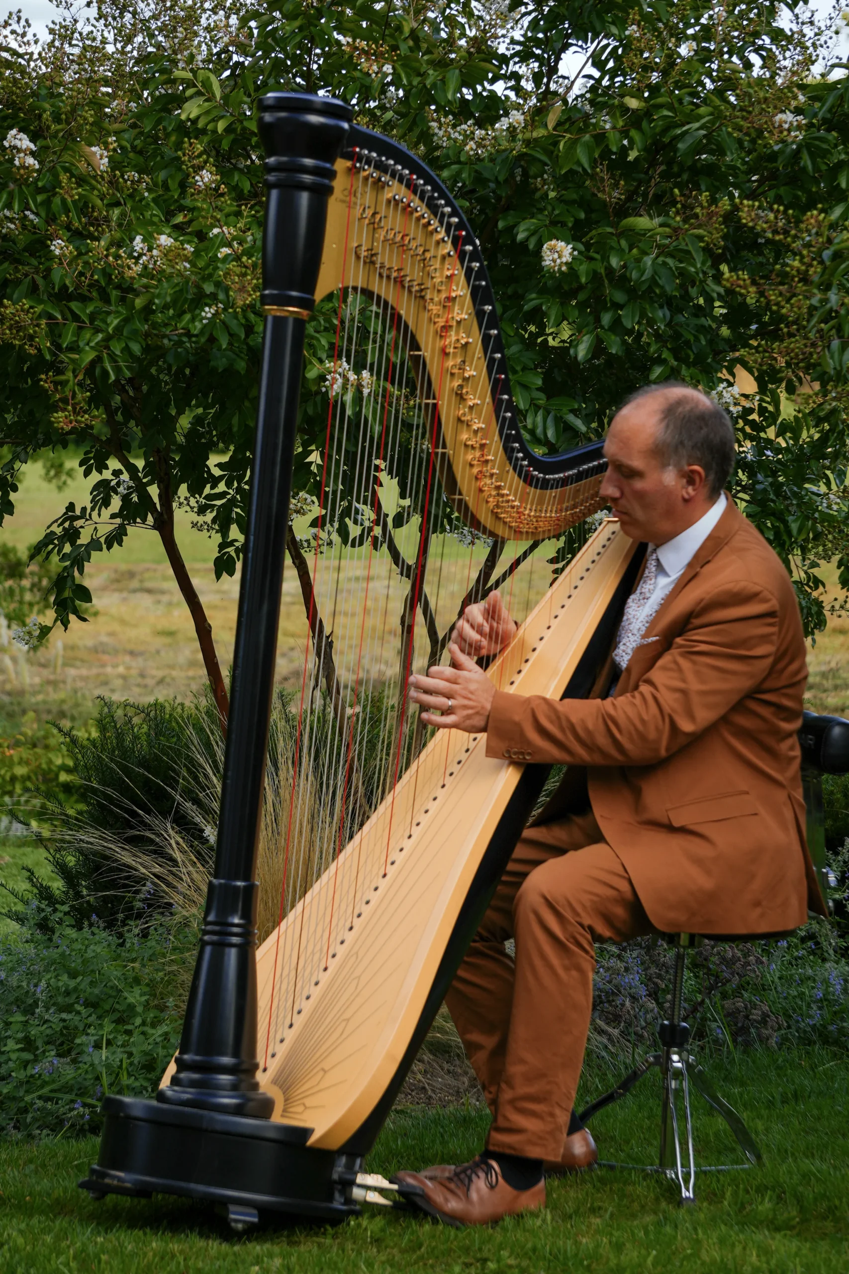 22. Harpist