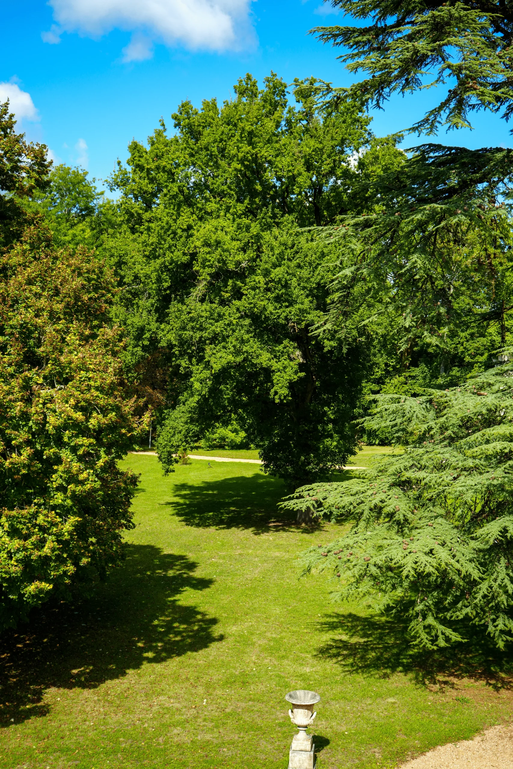 5. Bedroom 3 window view