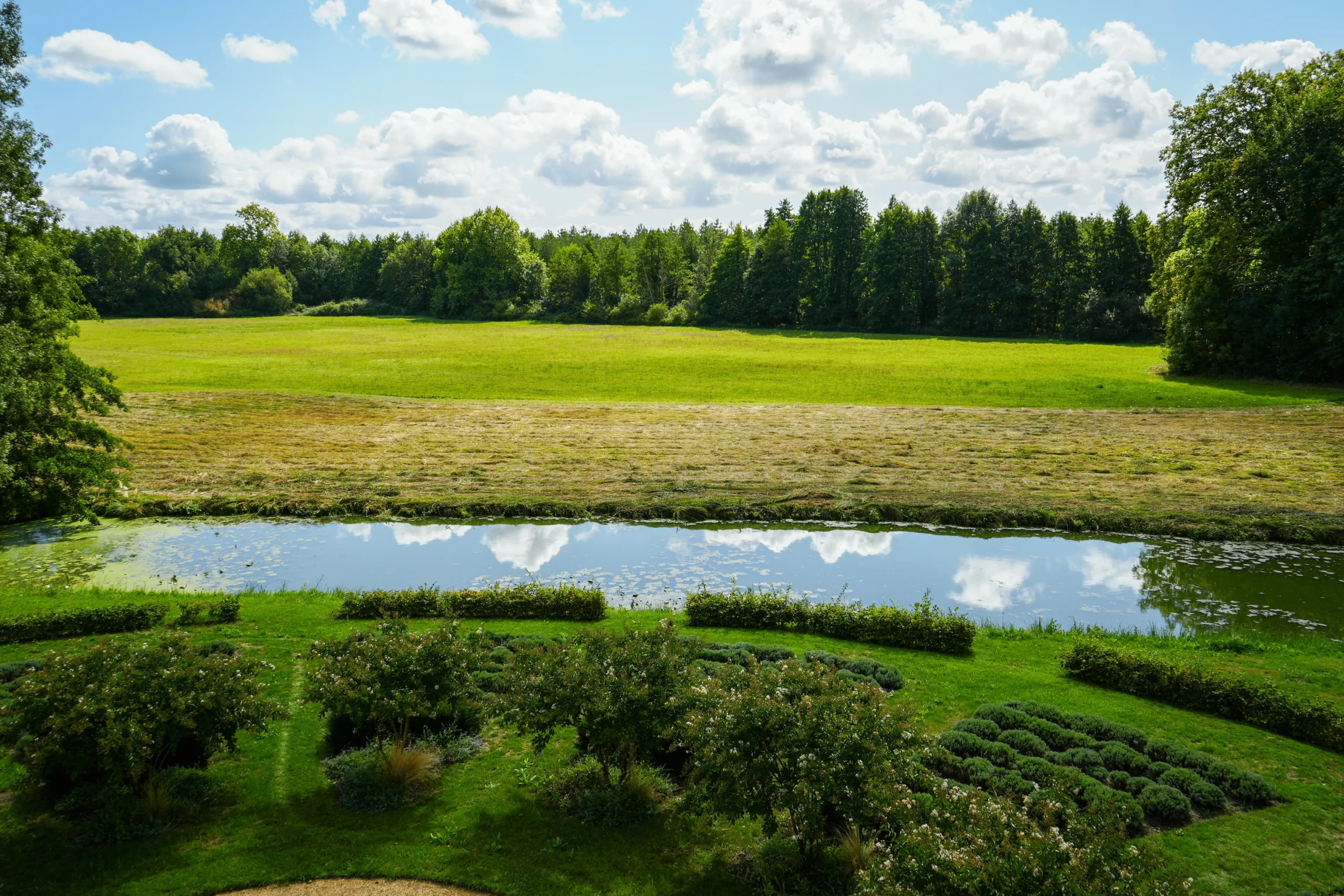 5. Bedroom 4 window view