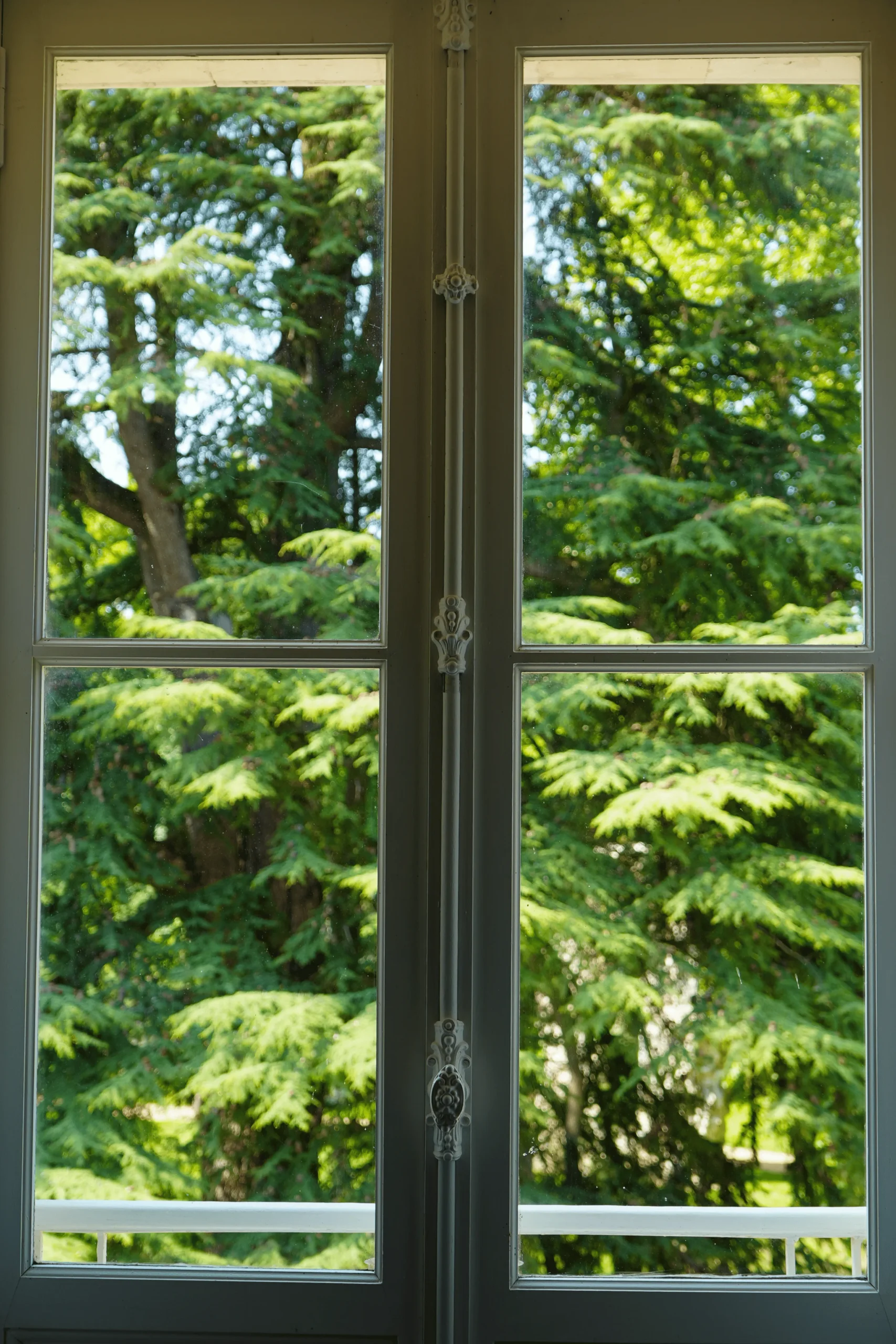 5. Bedroom 6 window view