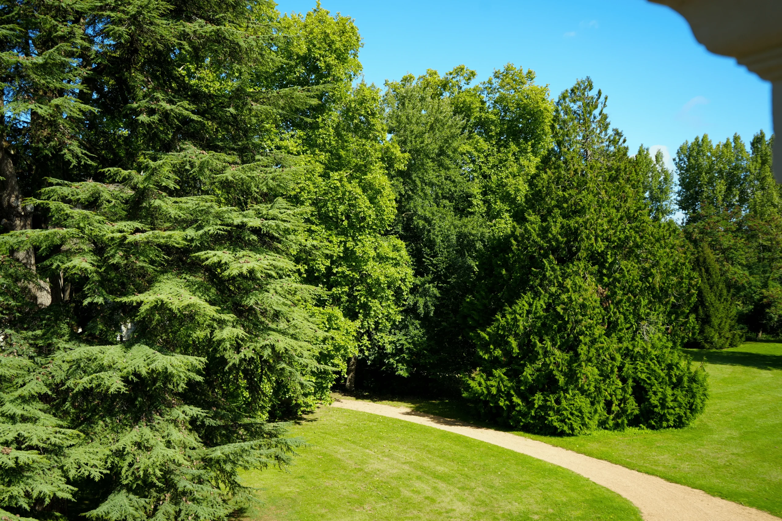 5. Bedroom 7 window view