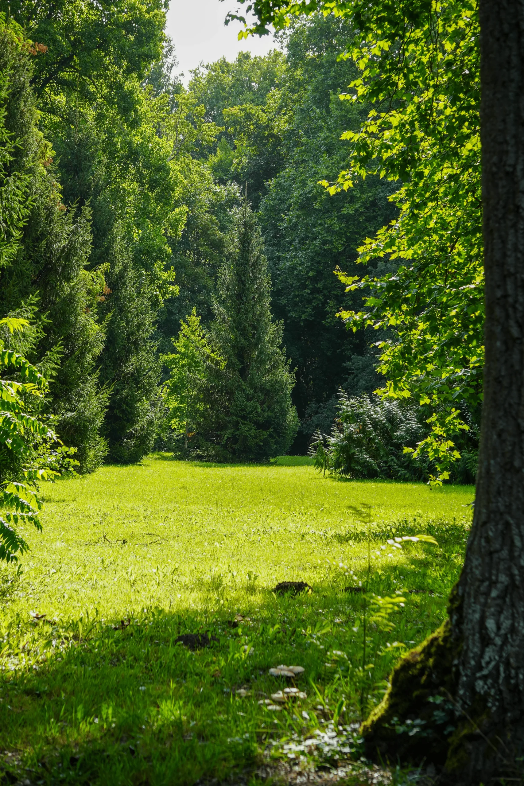 Château Du Loroux - The Gardens 1_1