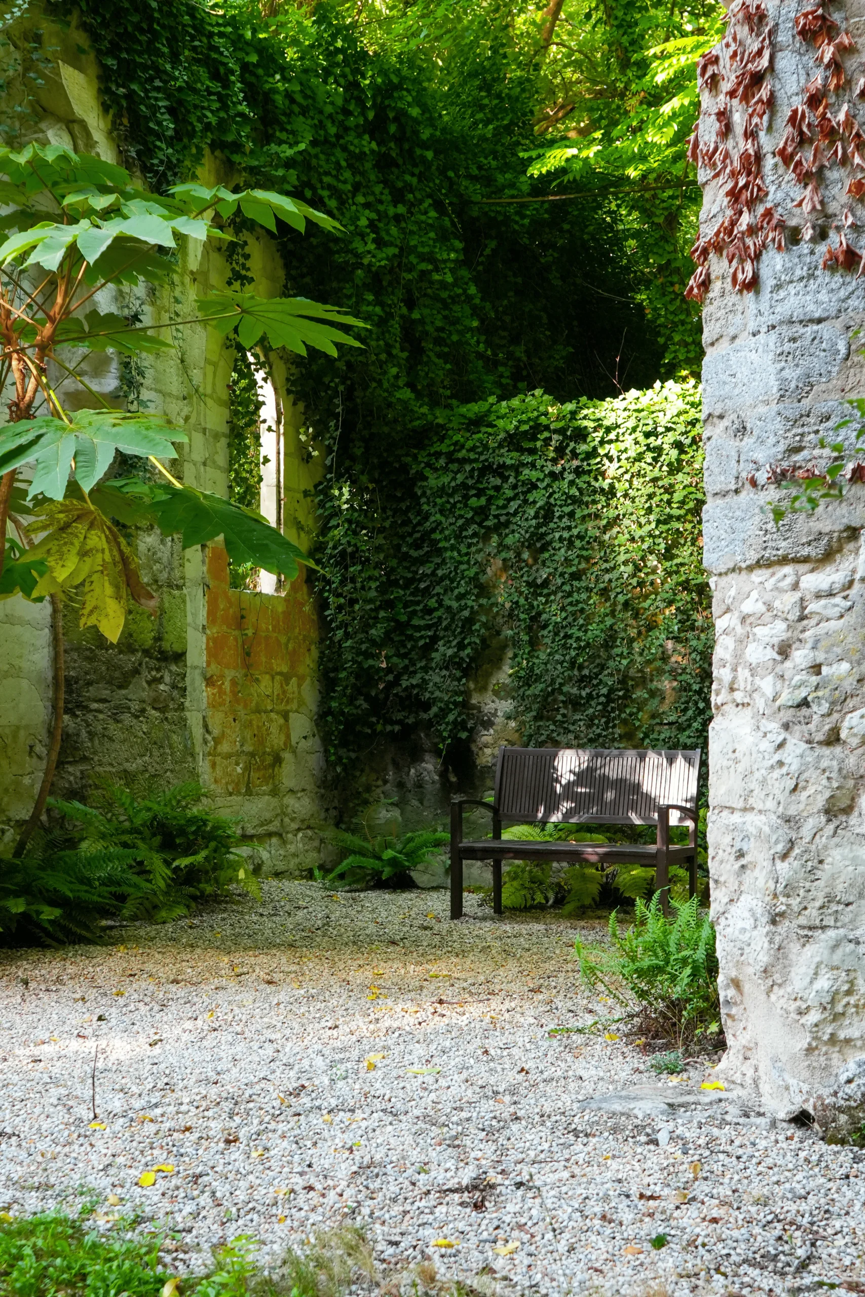 Château Du Loroux - The Ruins 11_11