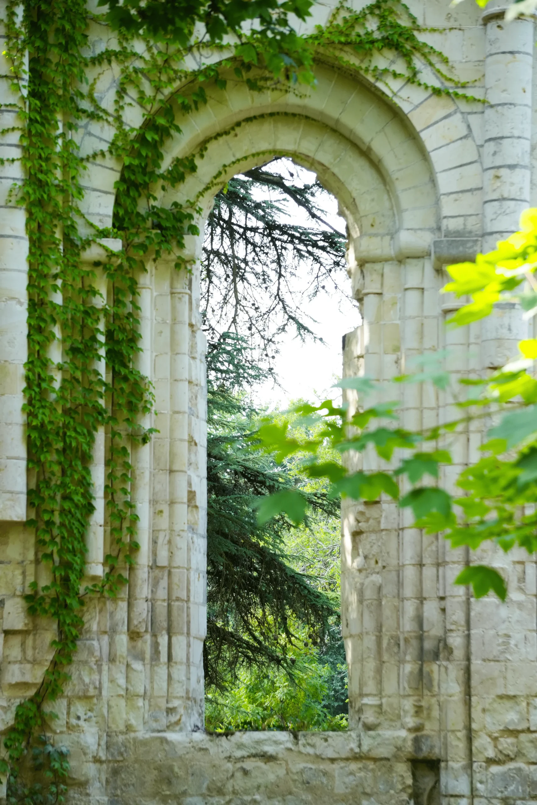 Château Du Loroux - The Ruins 5_5